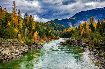 Scenic River Flowing Through Autumn Forest in Mountain Wilderness