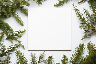 White card mockup surrounded by pine branches on white background