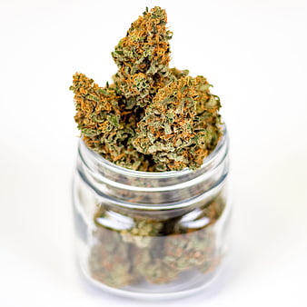 Cannabis buds in a clear glass jar on a white background