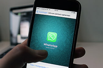 Hand holding smartphone displaying WhatsApp settings screen