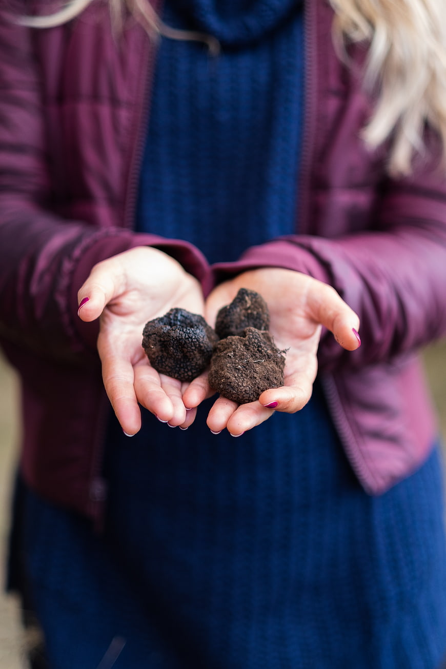 Woman holding fresh black truffles in cupped hands