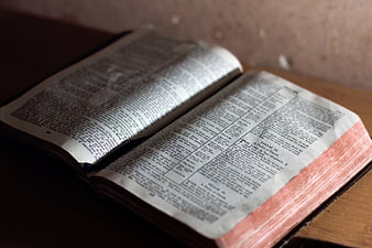 Open Bible with Pink Page Edges on Wooden Table