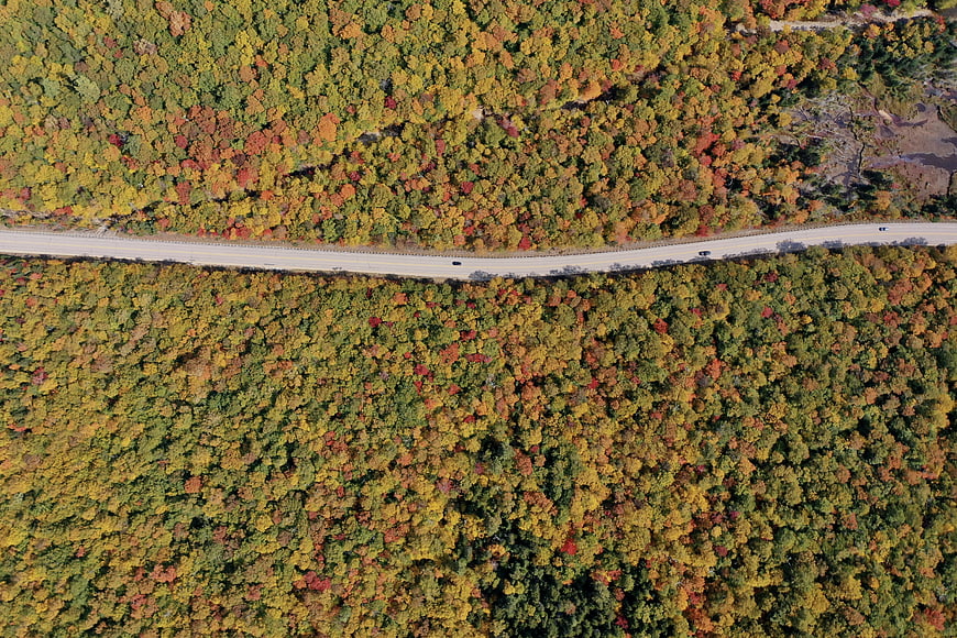 Aerial View of Winding Road Through Colorful Autumn Forest