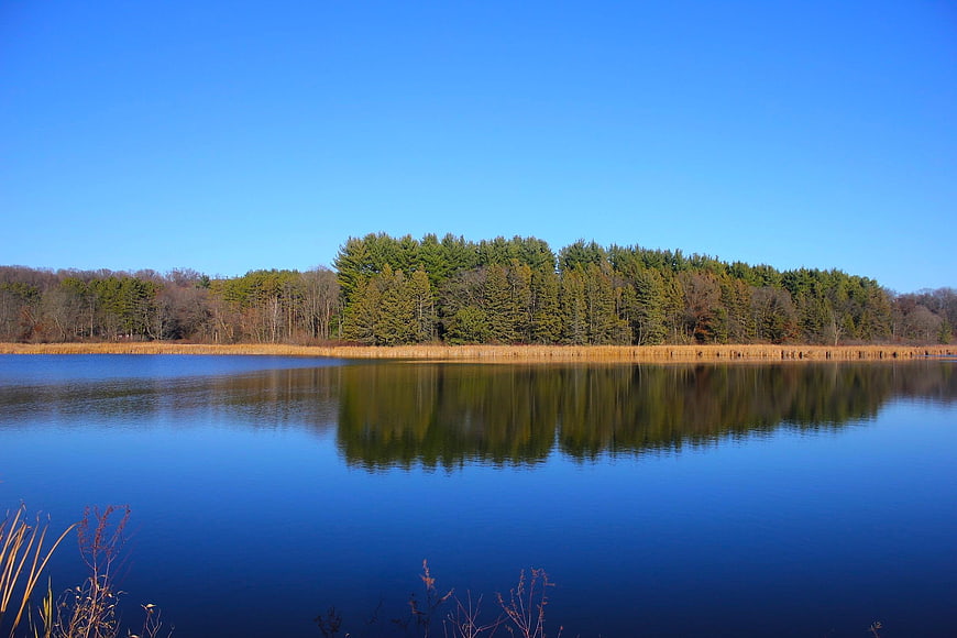 Serene Lake Landscape With Forest Reflections Under Clear Blue Sky