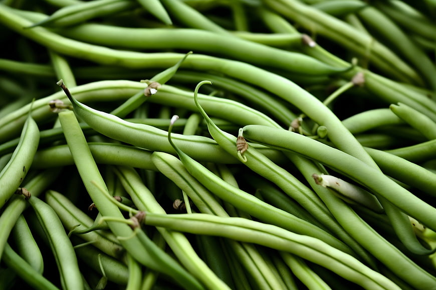 Close-up of Fresh Green Beans Pile