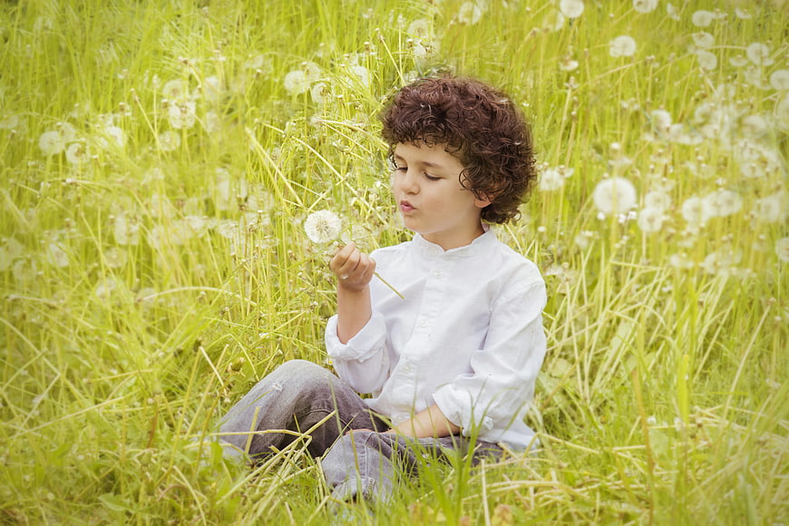 Cute Boy Blowing Dandelion Seeds in Green Meadow
