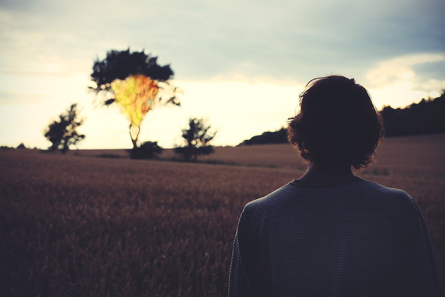 Silhouette of man looking at burning tree in field at sunset