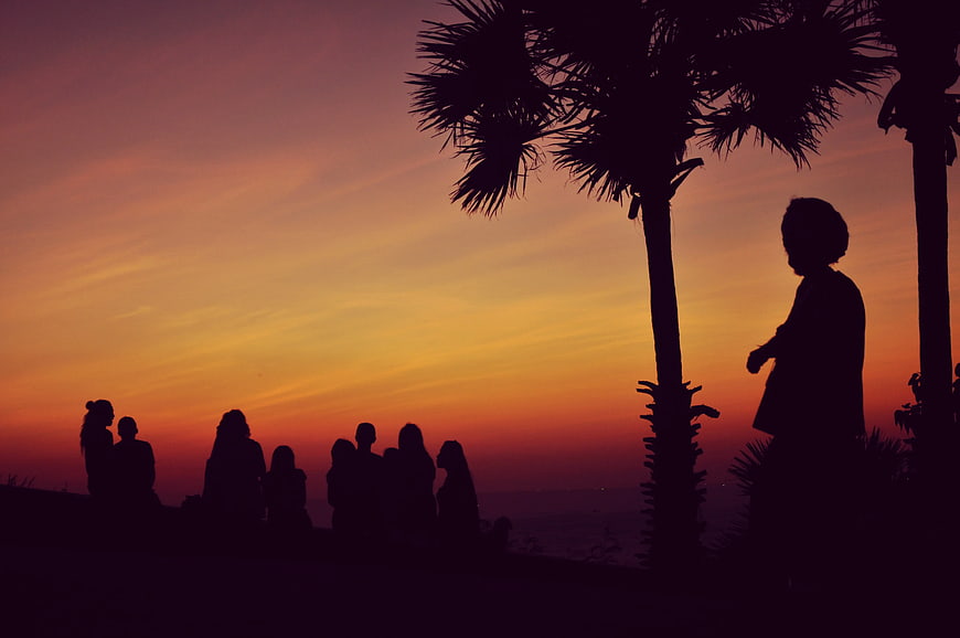 Silhouettes of People Watching Sunset Under Palm Trees