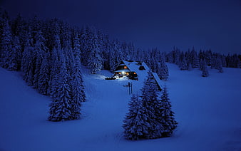 Cozy Snowy Cabin in Winter Forest at Night