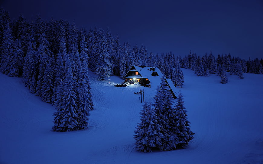 Cozy Snowy Cabin in Winter Forest at Night