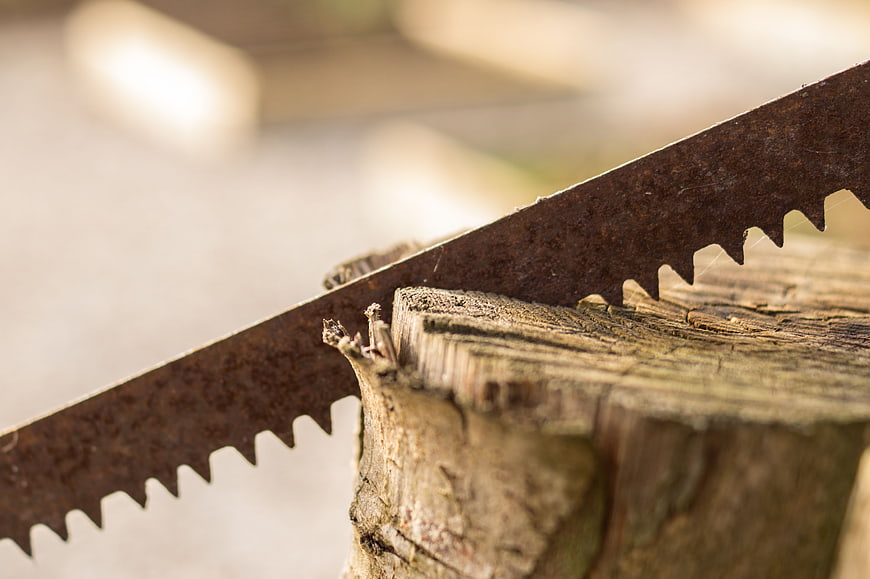 Close-up of rusty hand saw cutting into weathered wood