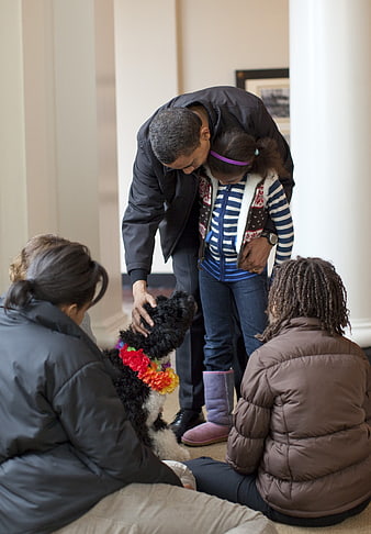 Family Interacting With Black Dog Wearing Colorful Flower Collar Indoors
