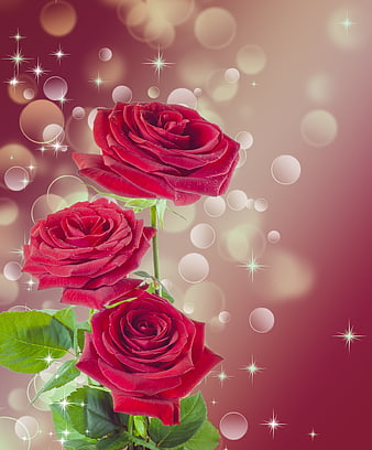 Three Red Roses with Sparkles and Bokeh Background