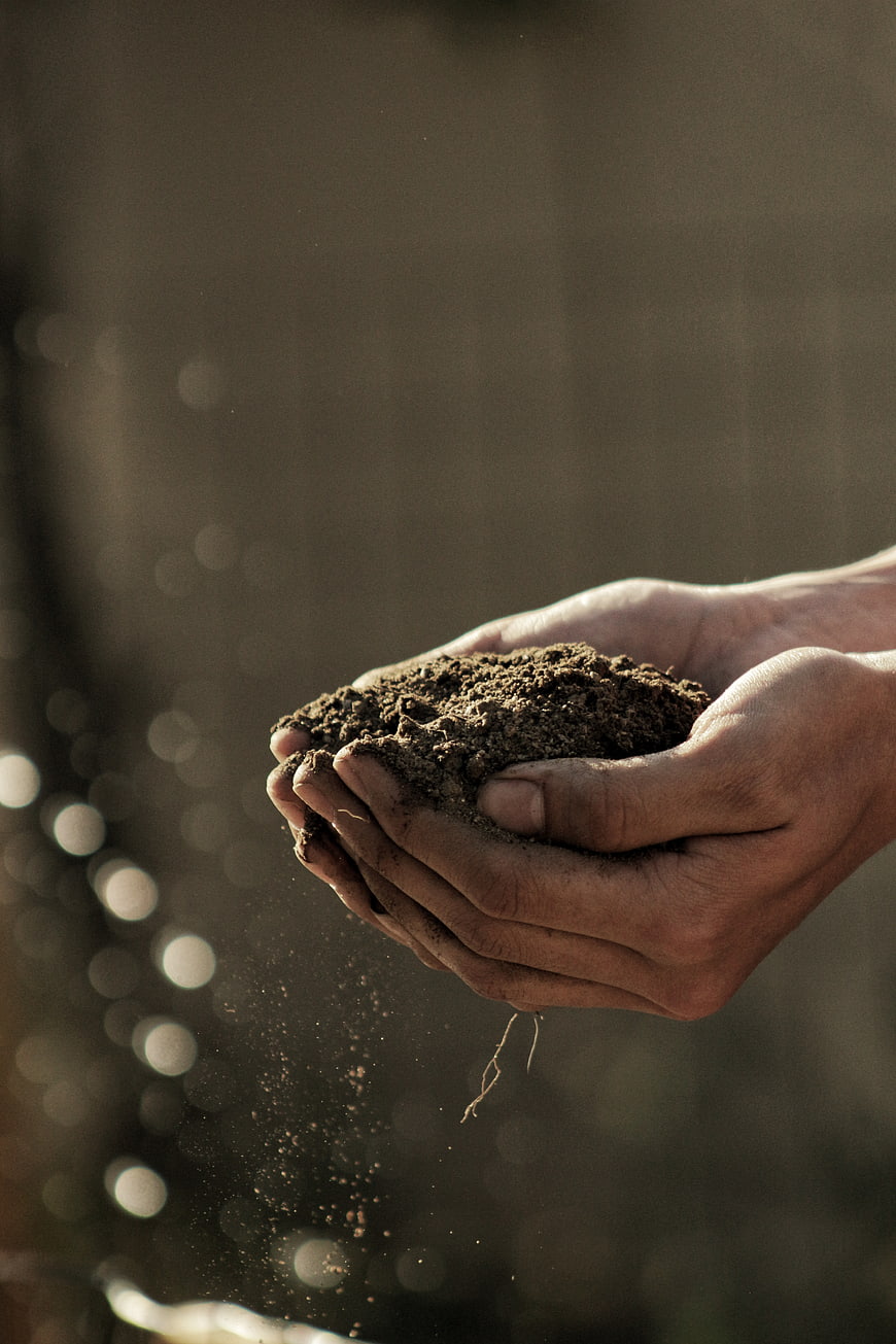 Hands holding rich dark soil with falling dirt particles