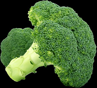 Fresh Broccoli Head Isolated On Black Background