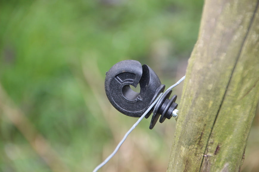 Close-up of black plastic fence insulator on wooden post