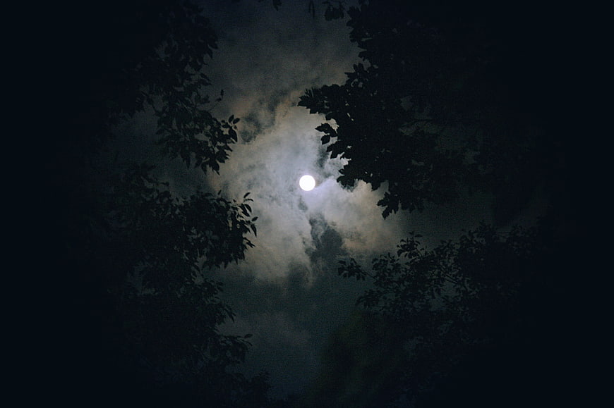Full moon shining through clouds and tree silhouettes at night
