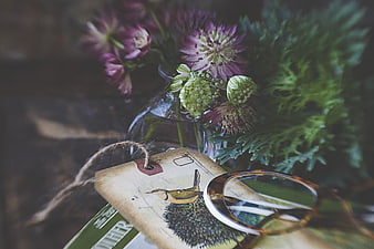Vintage eyeglasses and flowers on rustic table