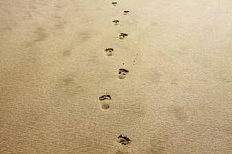 Footprints in Sand on Beach