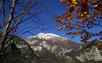 Snow-capped mountain peak framed by autumn leaves and blue sky