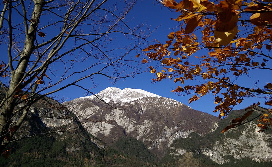 Snow-capped mountain peak framed by autumn leaves and blue sky