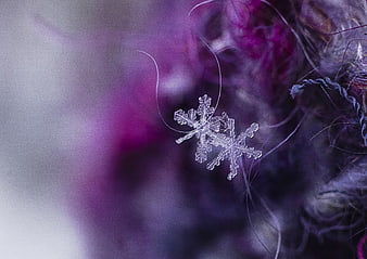 Macro snowflake on purple feather background