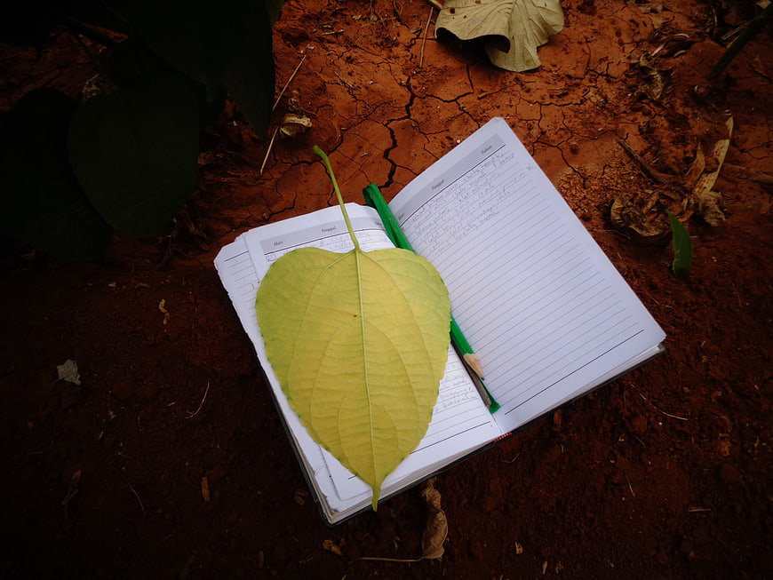 Open notebook with green leaf and pencil on red soil