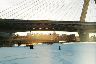 Winter Cityscape Under Cable-Stayed Bridge with Snowy Park