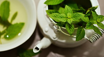 Fresh Mint Leaves in White Teapot and Cup of Tea