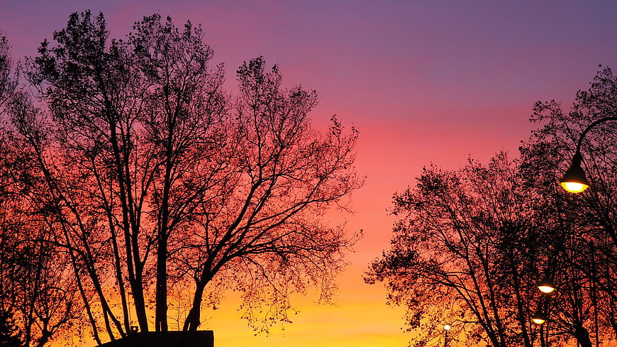Silhouetted Trees Against Vibrant Sunset Sky