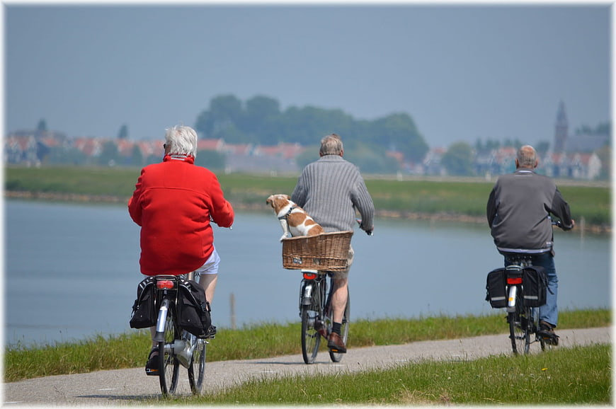 Three Senior Men Cycling Along Waterfront With Dog In Basket