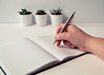 Hand Writing in Notebook on Minimalist Desk with Succulents