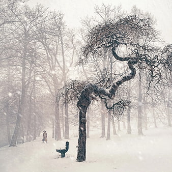 Solitary figure walking in snowy winter park with bare trees
