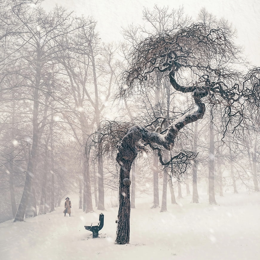 Solitary figure walking in snowy winter park with bare trees