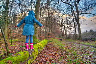 Child balancing on mossy log in autumn forest with dog