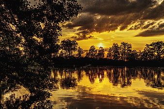 Dramatic Golden Sunset Over Lake with Tree Silhouettes