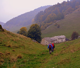 Hikers with backpacks walking through a misty autumn mountain valley