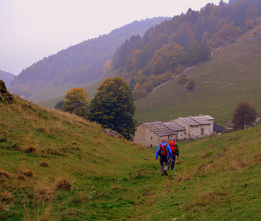 Hikers with backpacks walking through a misty autumn mountain valley