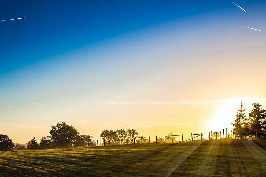 Golden Sunrise Over Rolling Green Meadow with Fence