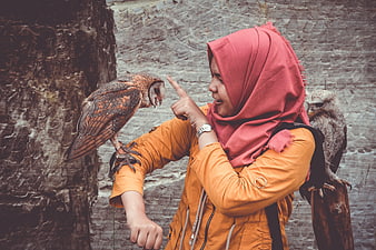 Woman in hijab interacting with barn owls on perches