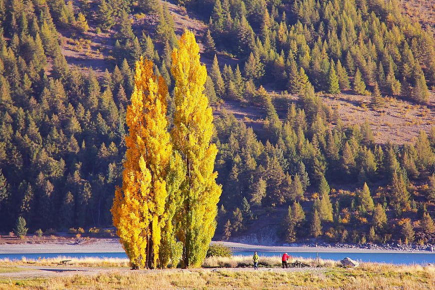 Golden Autumn Trees by Lake with Hikers