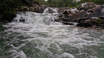 Rushing white water rapids flowing over dark rocks in a river