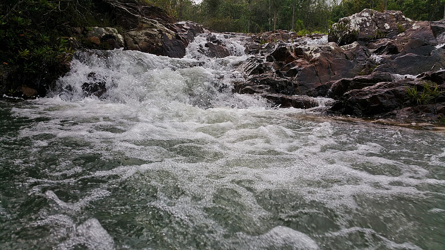 Rushing white water rapids flowing over dark rocks in a river