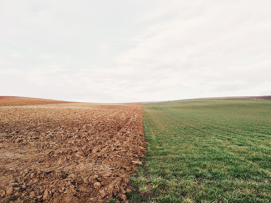 Split View of Plowed Brown Soil and Green Crop Field