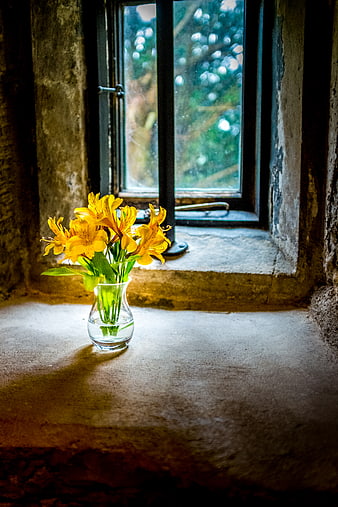 Yellow Alstroemeria Flowers in Glass Vase on Rustic Window Sill