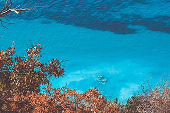 Aerial view of turquoise ocean with swimmers and autumn foliage