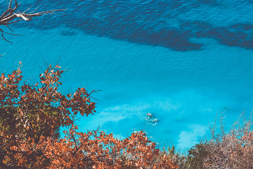 Aerial view of turquoise ocean with swimmers and autumn foliage