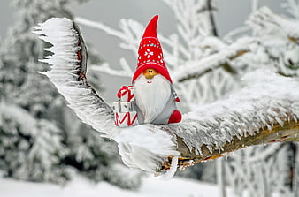 Christmas Gnome Figurine on Snowy Branch with Gifts