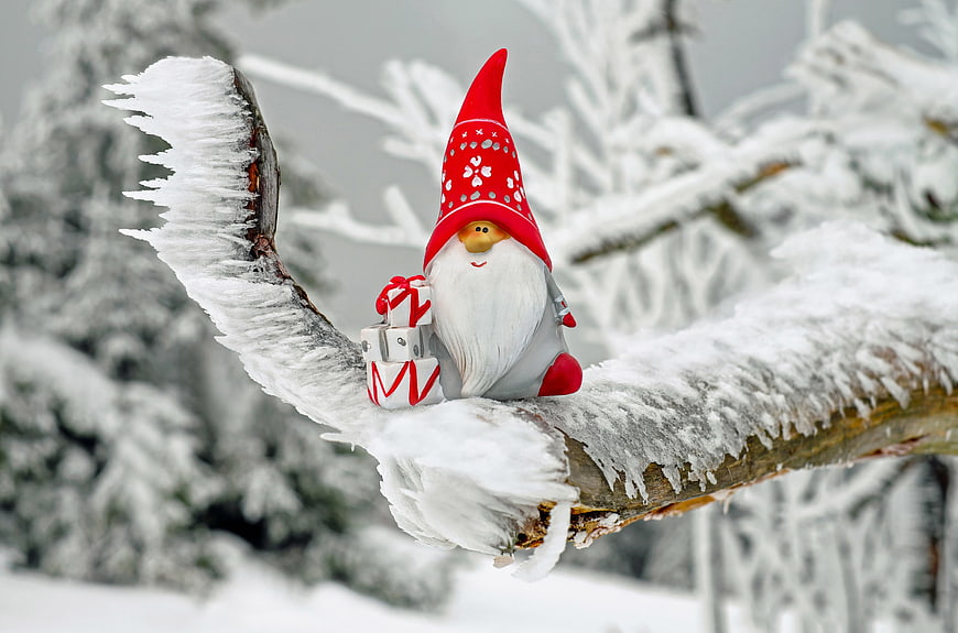 Christmas Gnome Figurine on Snowy Branch with Gifts