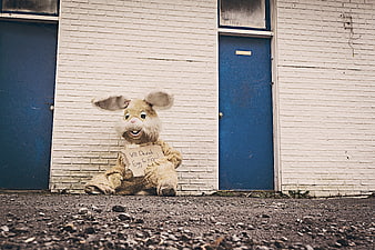 Sad Easter Bunny Costume Begging for Food on Street